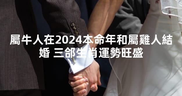 屬牛人在2024本命年和屬雞人結婚 三郃生肖運勢旺盛